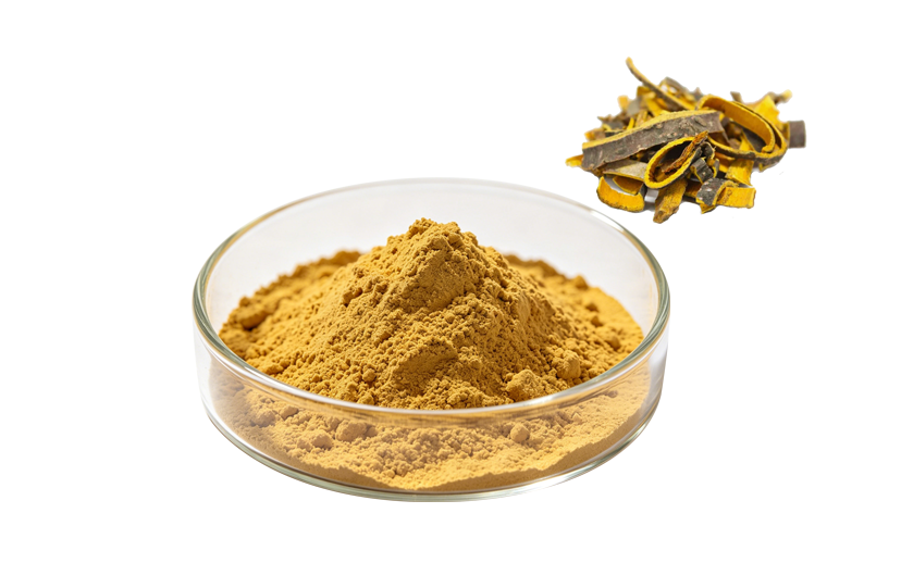 Phellodendron Bark Extract